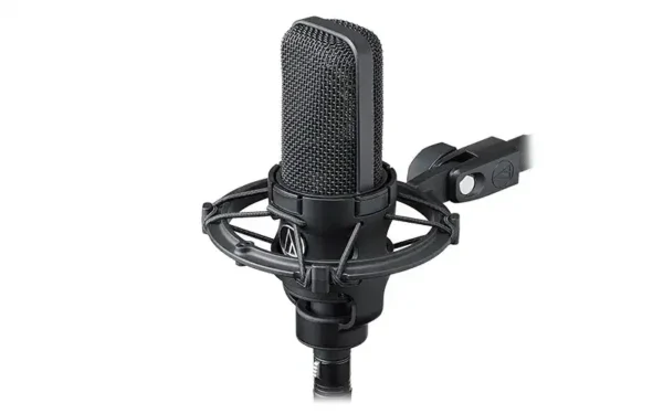 "Audio-Technica AT4040 large-diaphragm cardioid condenser microphone"